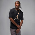 Jordan Jumpman Graphic T-Shirt